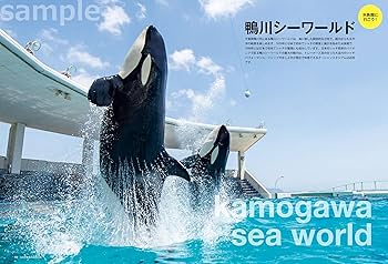 鴨川シーワールド　DVD シャチが生まれた　赤ちゃんシャチ「ラン」の成長記録 鴨川シーワールド DVD シャチが生まれた 赤ちゃんシャチ「ラン